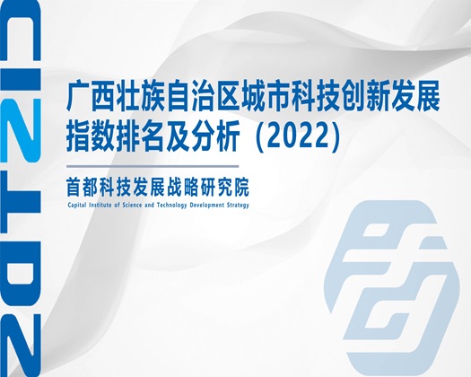 看澡必的黄片【成果发布】广西壮族自治区城市科技创新发展指数排名及分析（2022）